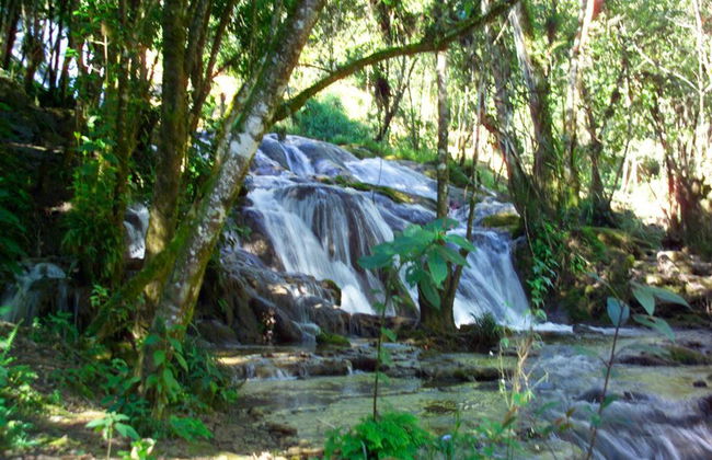 Site archéologique de Toniná depuis San Cristóbal - Photo 5
